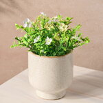 Искусственный цветок в горшке Броваллия 15 см белая