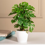 Искусственное растение в горшке Монстера 25 см