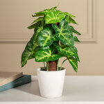Искусственное растение в горшке Сингониум 25 см