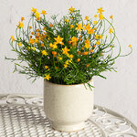 Искусственный цветок в горшке Хатиора 25 см, желтый