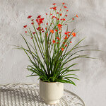 Искусственный цветок в горшке Таллинум 38 см красный