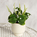 Искусственный цветок в горшке Пилея 24 см