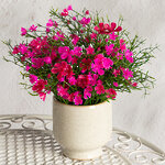 Искусственные цветы в горшке Флоксы розовые 23 см