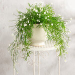 Искусственный подвесной куст Midleton Stone 43 см, белый