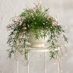 Подвесной искусственный цветок Midleton Stone 43 см, розовый