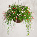 Искусственный цветок в кашпо Matera - Цветочный Коктейль 43 см