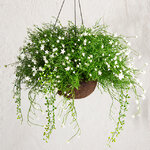 Искусственный цветок в кашпо Matera - Магический Сад 43 см