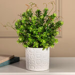 Искусственное растение в горшке Самшит 29 см белый
