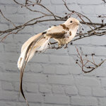 Елочное украшение Женевская пташка 15 см перламутровая, клипса
