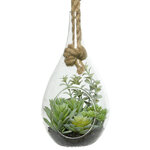 Декоративный подвесной флорариум Morrigan: Гастерия 24 см
