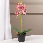 Искусственная орхидея в горшке Dominica Pink 40 см