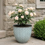 Декоративное кашпо Голубое Солнце 32*27 см, металл