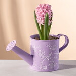 Декоративное кашпо-лейка Амальфи 22*10 см сиреневое, металл