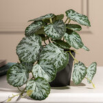 Искусственное растение в горшке Виафроя 18 см