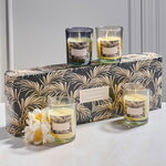 Набор ароматических свечей в стакане Finneoly - Tropical Paradise 6 см, 4 шт, в подарочной упаковке