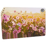 Набор плейсматов Meadow Flowers - Cosmea 44*29 см, 4 шт