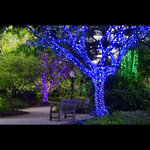 Гирлянды на деревья Клип Лайт Quality Light 30 м, 300 синих LED ламп, черный ПВХ, IP44
