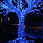 Клип Лайт - Спайдер Quality Light 30 м, 300 синих LED ламп, прозрачный ПВХ, IP44