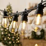 Гирлянда из лампочек Edison Party Lights 10 м, 20 ламп, теплые белые LED, черный ПВХ, соединяемая, IP44