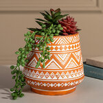 Искусственное растение горшке Альенто - Эхеверия 15*10 см