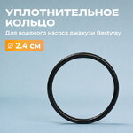 Уплотнительное кольцо водяного насоса для джакузи Bestway Lay-Z-Spa (Бествей Лей-Зи-Спа) 
